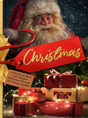 cover image of Christmas Picture Book